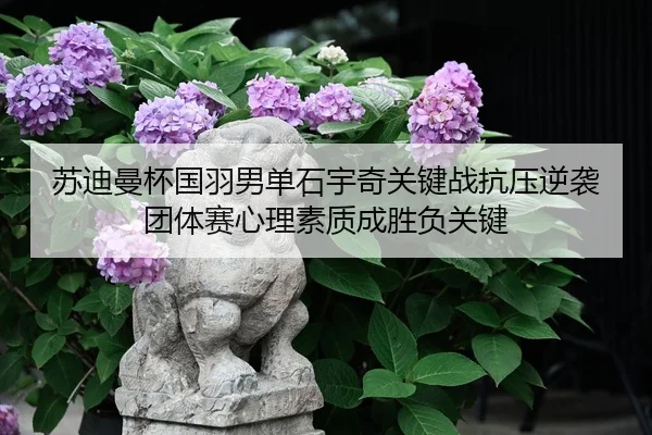 苏迪曼杯国羽男单石宇奇关键战抗压逆袭 团体赛心理素质成胜负关键